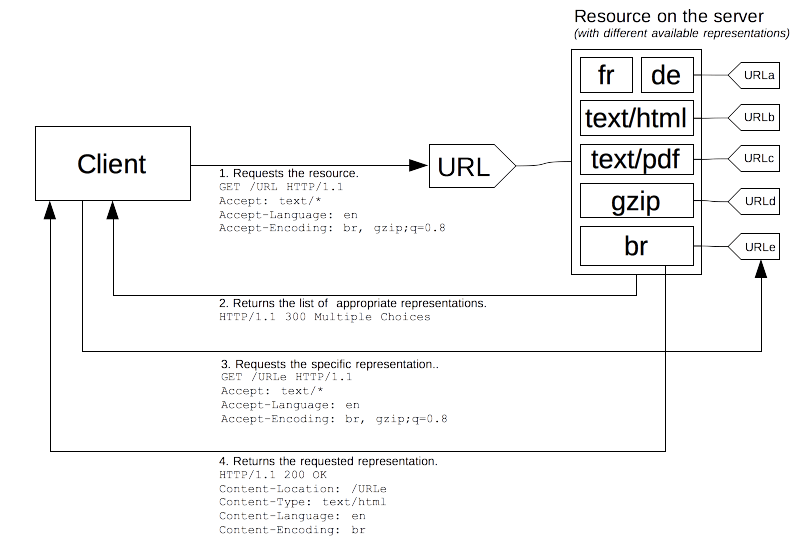 Un client demande une URL dont les en-têtes indiquent une préférence pour les types de contenu. Le serveur possède plusieurs ressources qui correspondent à l'URL et renvoie une réponse multiple afin que le client puisse choisir un corps avec l'algorithme de compression privilégié.